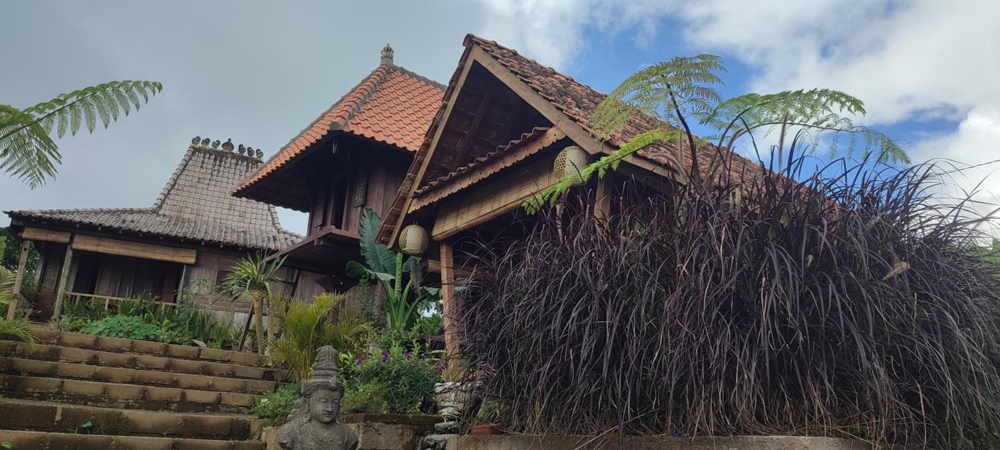 Pondok Kawinaya Singaraja Rum bild